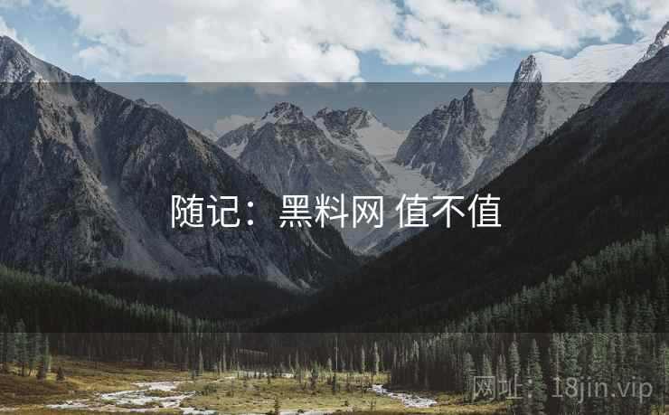 随记：黑料网 值不值  第2张
